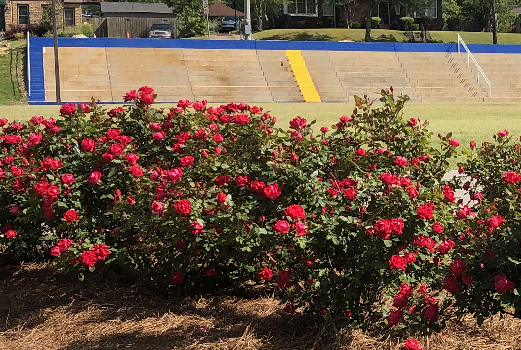 Rose Gardens at Robins Field